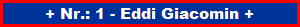 Eddi Giacomin